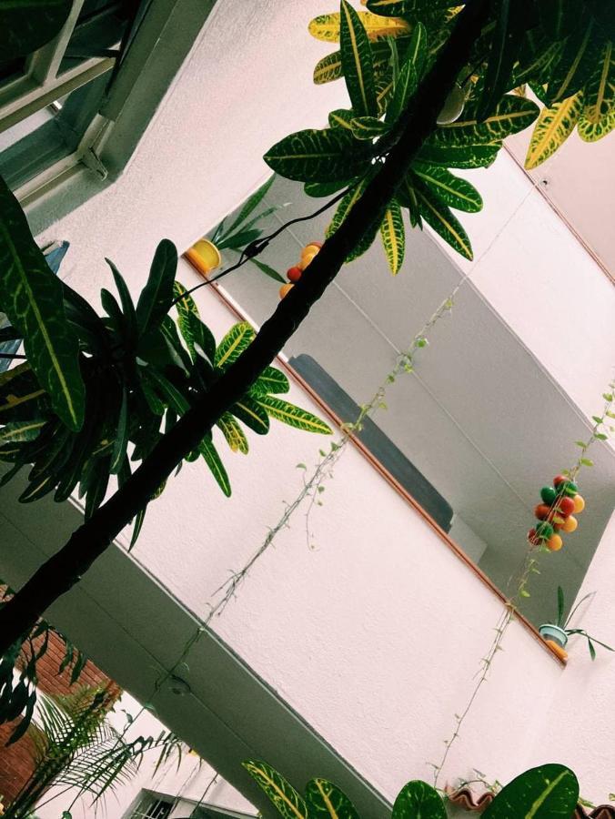 Refugio Llanero Hotel Boutique Villavo Centro 3K Aeropuerto Villavicencio Zewnętrze zdjęcie